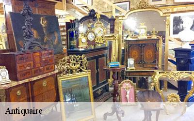 Antiquaire Hautes-Pyrénées