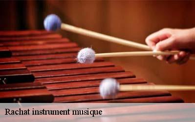 Rachat instrument musique  65100